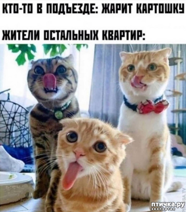 ���� 1: ������� �����