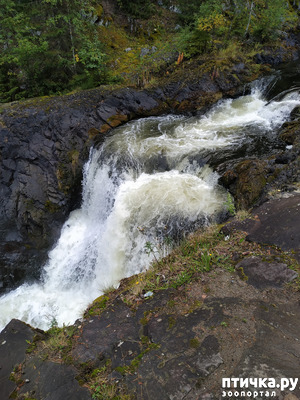 ����: �����