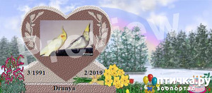 фотография: Drewsha's Memorial Rainbow Residency at Rainbow Bridge фото: Drewsha's Memorial Rainbow Residency at Rainbow Bridge