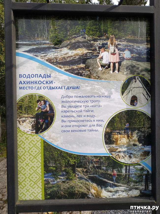 ���� 1: ��������� - ������� ����