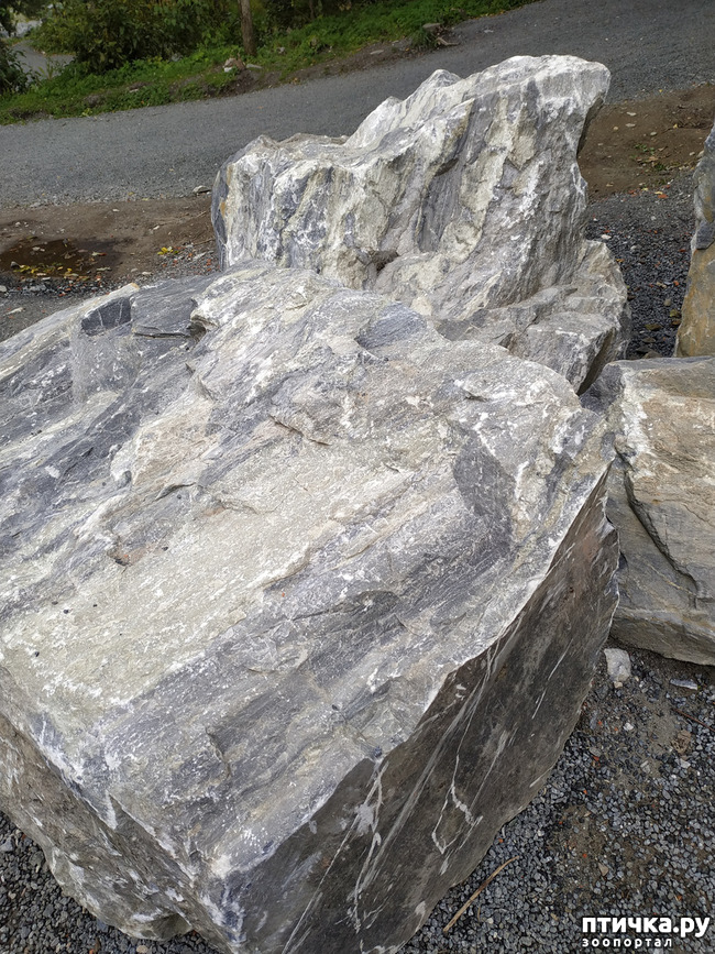 ���� 2: �������� - ������ ����