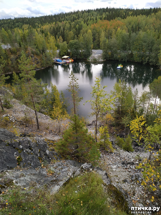 ���� 4: �������� - ������ ����