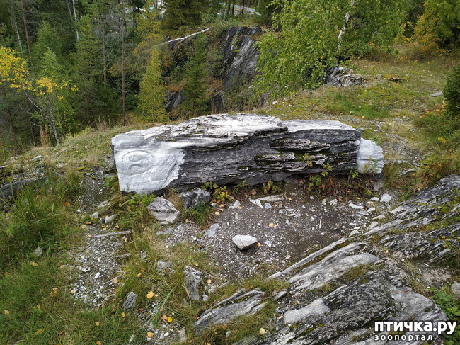 ���� 5: �������� - ������ ����