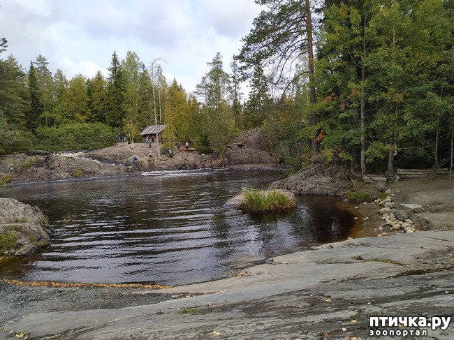 ���� 2: ��������� - ������� ����