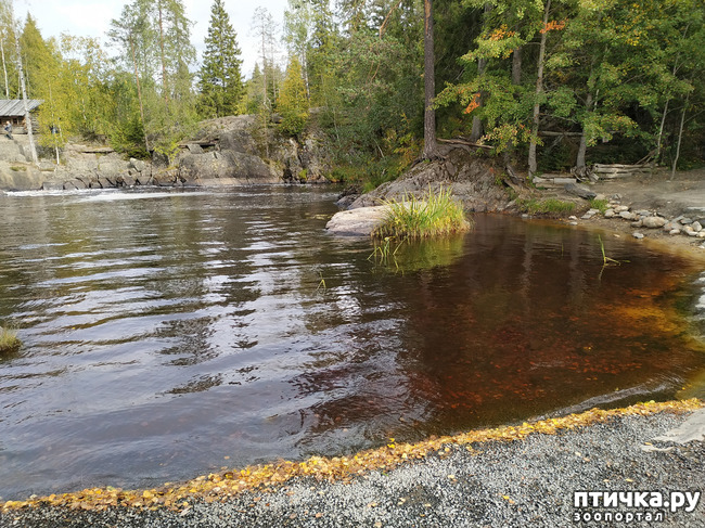 ���� 3: ��������� - ������� ����