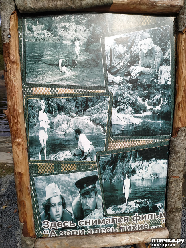 ���� 8: ��������� - ������� ����