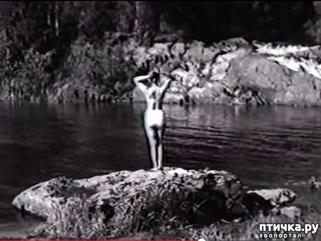 ���� 4: ��������� - ������� ����