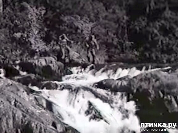 Водопады Ахвенкоски Карелия а зори здесь тихие