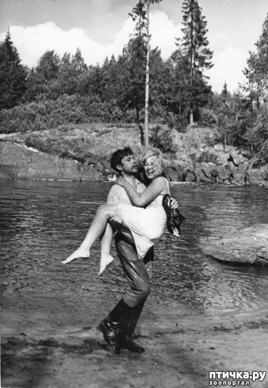 ���� 7: ��������� - ������� ����