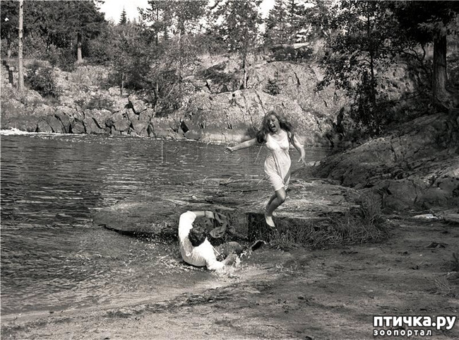 ���� 6: ��������� - ������� ����