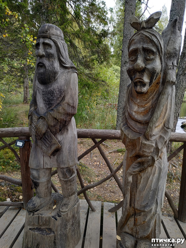 ���� 11: ��������� - ������� ����