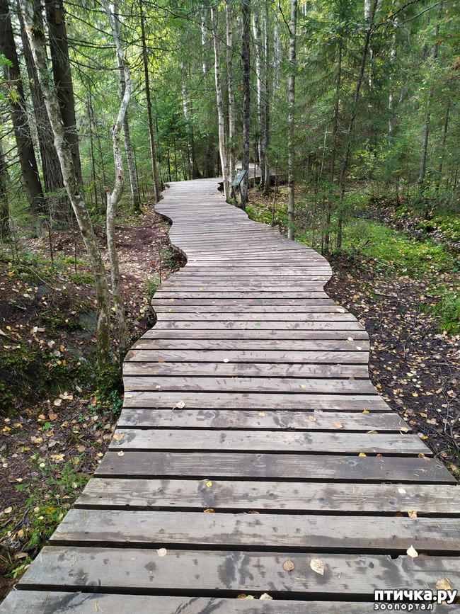 ���� 12: ��������� - ������� ����