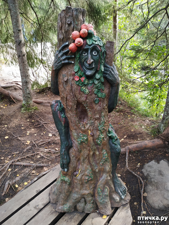 ���� 14: ��������� - ������� ����