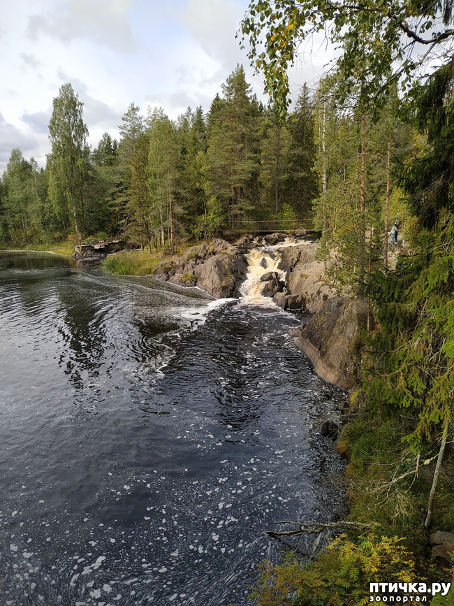 ���� 9: ��������� - ������� ����