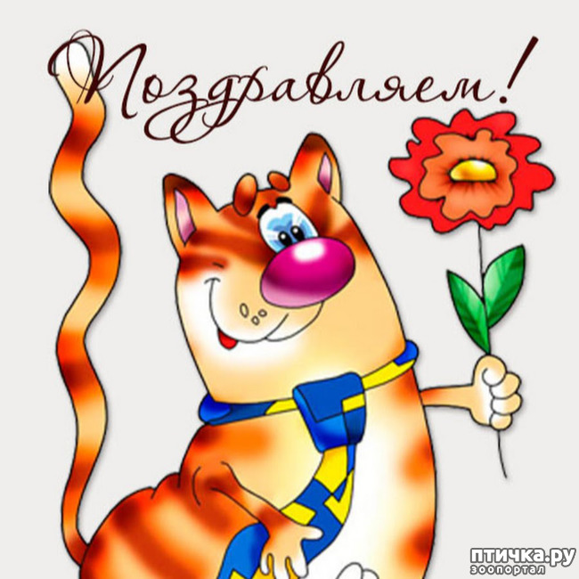 ���� 1: ������� ���� �������� � ��� ���������!