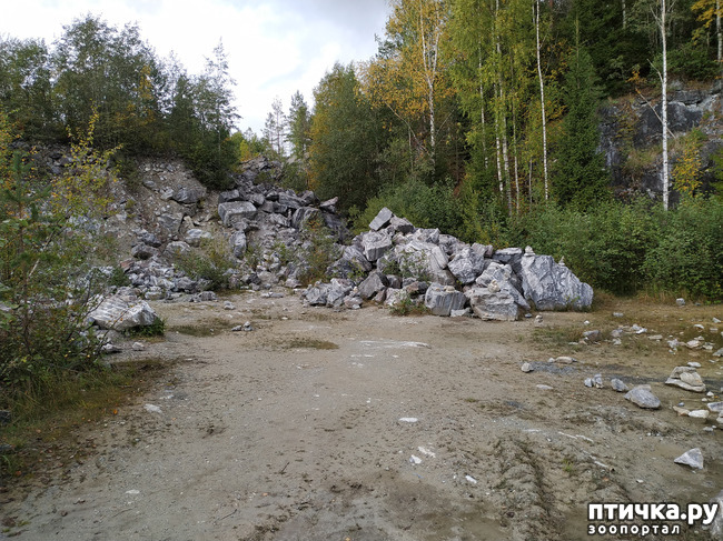 ���� 24: �������� - ������ ����