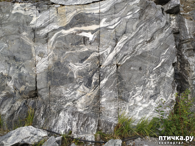 ���� 28: �������� - ������ ����