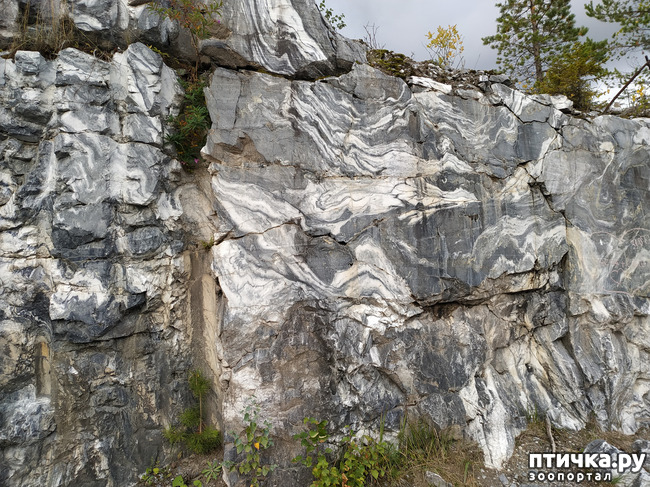 ���� 29: �������� - ������ ����