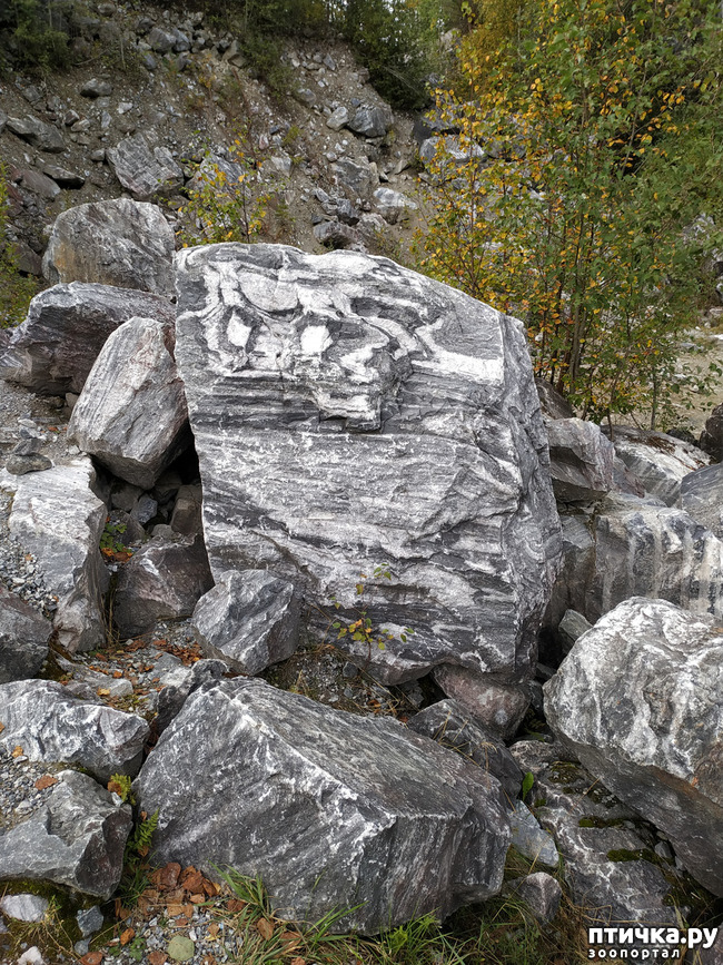 ���� 26: �������� - ������ ����