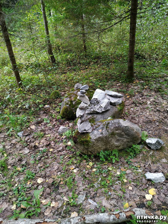 ���� 25: �������� - ������ ����