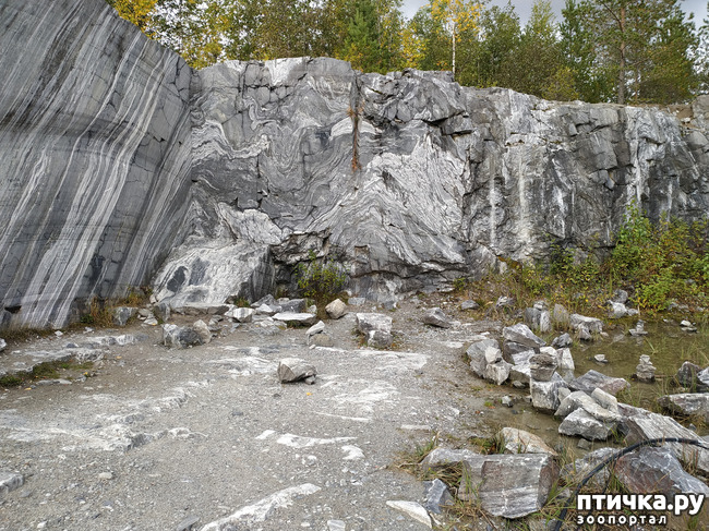 ���� 27: �������� - ������ ����