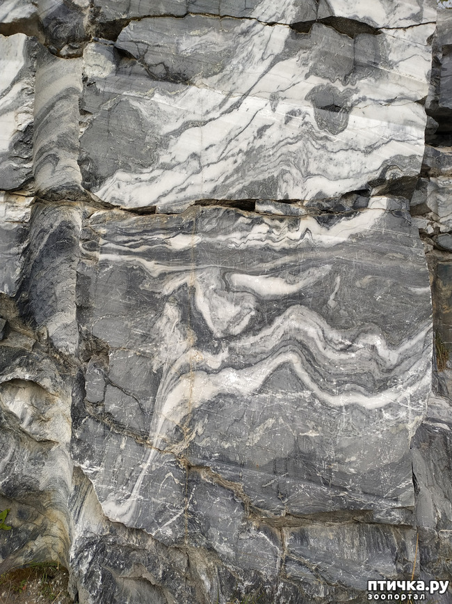 ���� 30: �������� - ������ ����