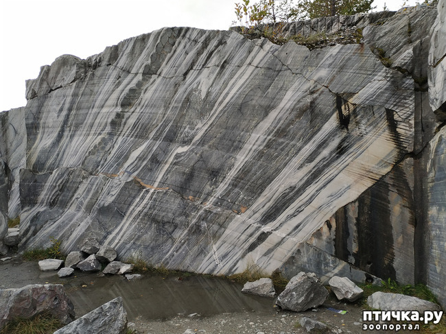 ���� 32: �������� - ������ ����