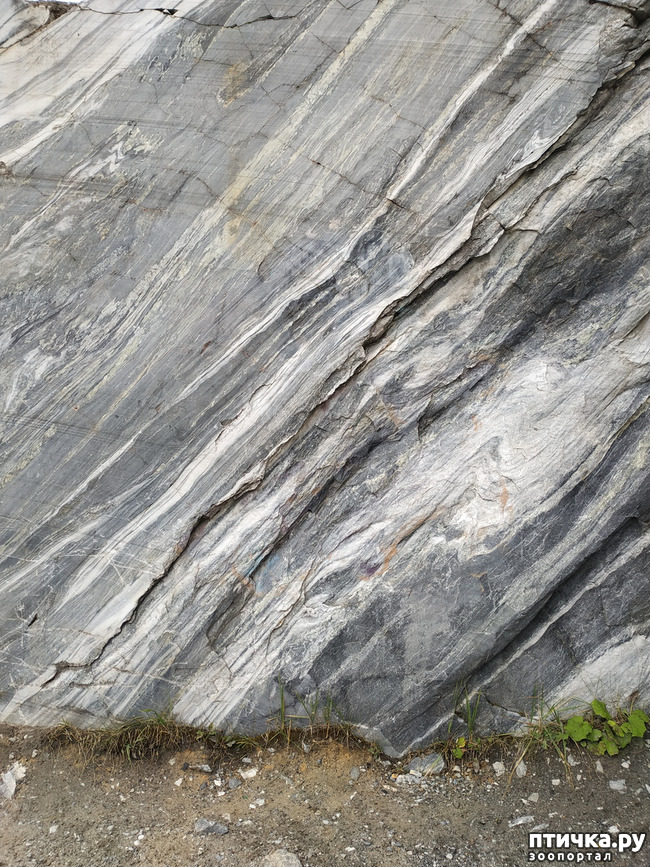 ���� 31: �������� - ������ ����