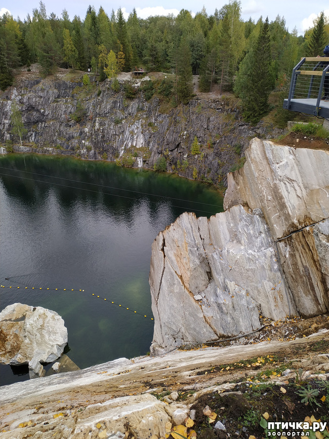 ���� 7: �������� - ������ ����