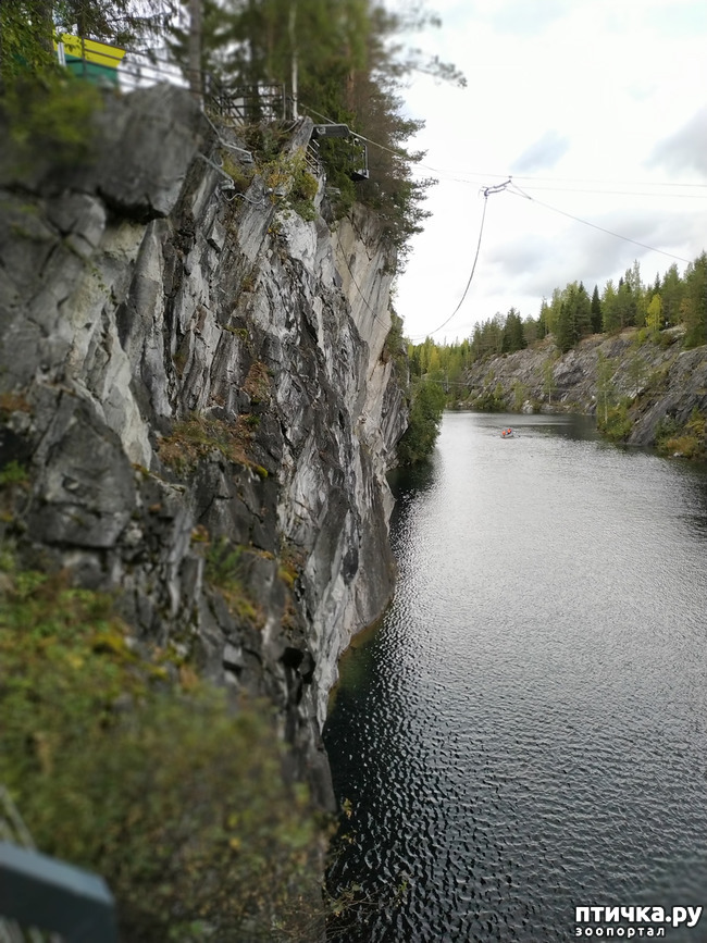 ���� 11: �������� - ������ ����