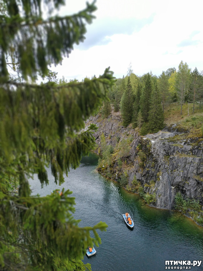 ���� 10: �������� - ������ ����