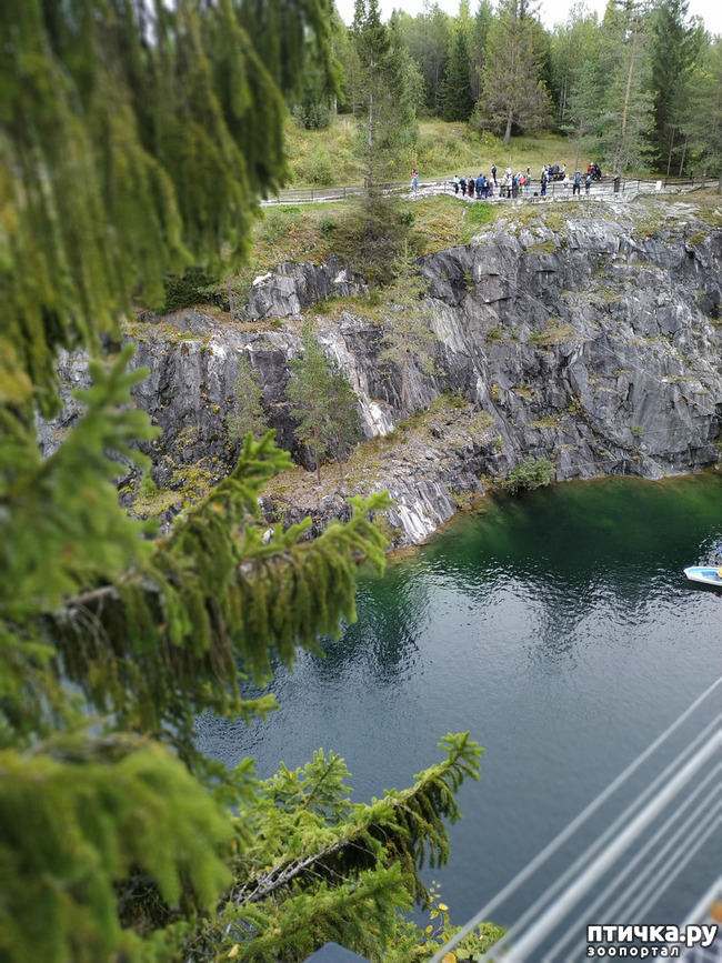 ���� 9: �������� - ������ ����