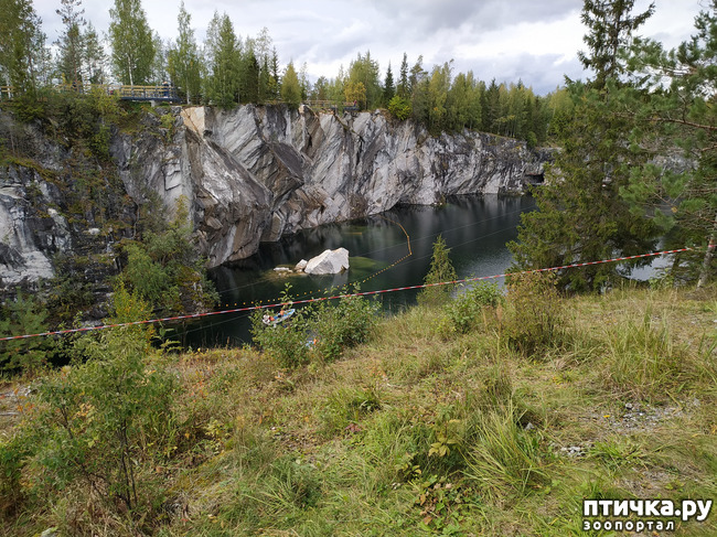 ���� 14: �������� - ������ ����