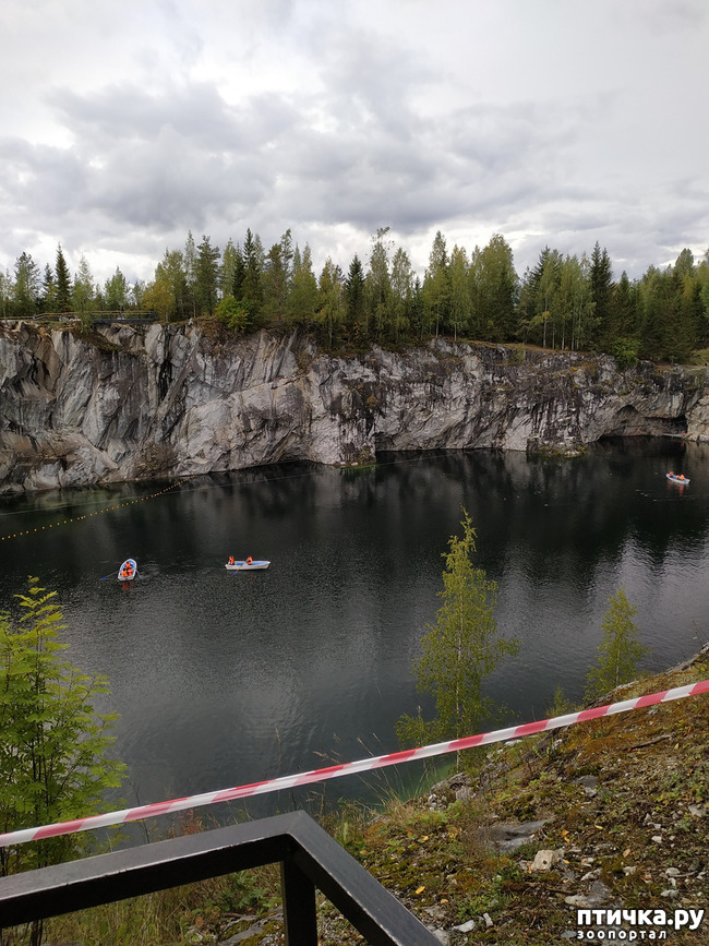 ���� 15: �������� - ������ ����