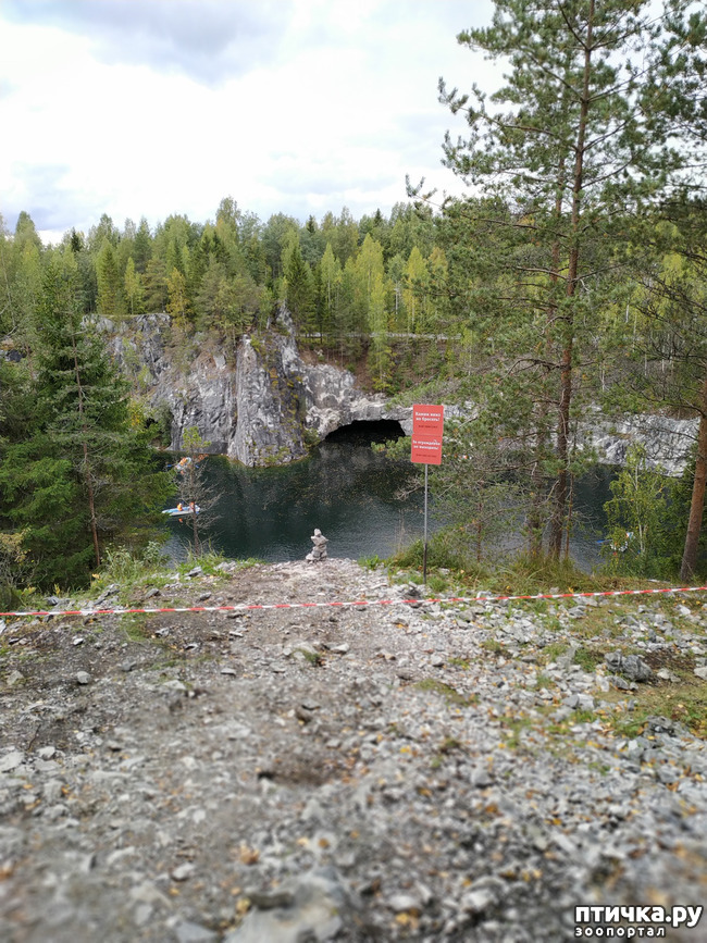 ���� 17: �������� - ������ ����