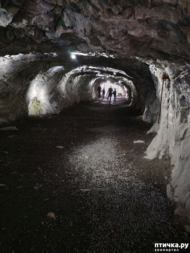 ���� 21: �������� - ������ ����