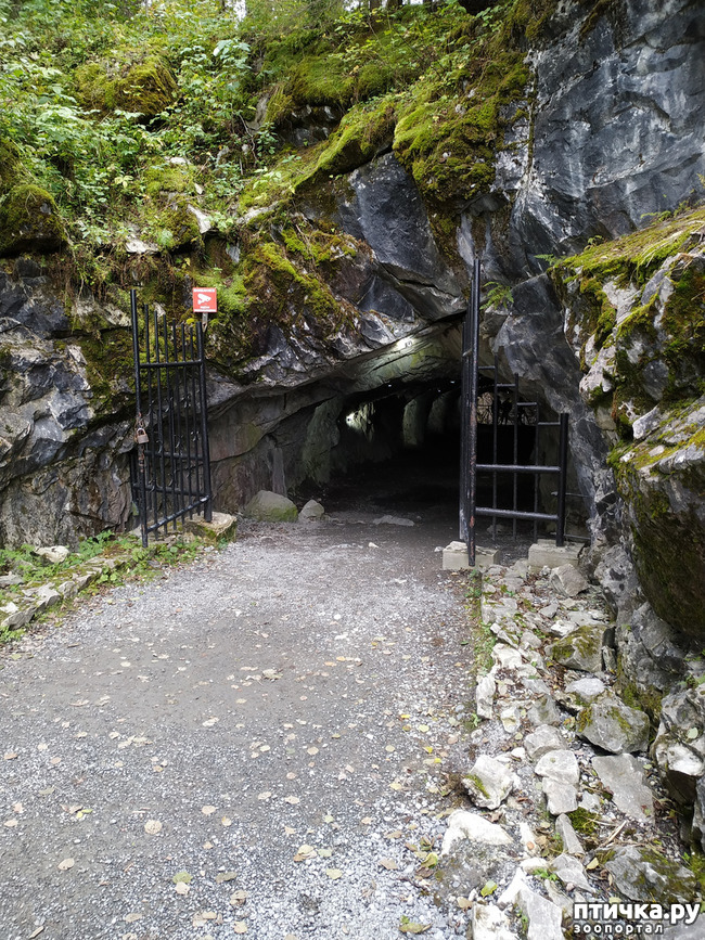 ���� 20: �������� - ������ ����