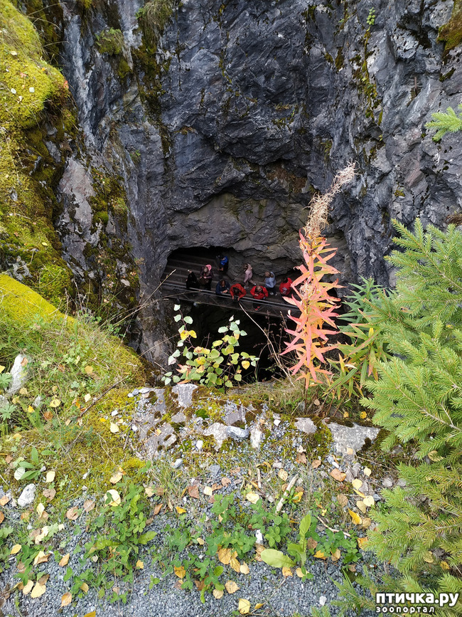 ���� 22: �������� - ������ ����