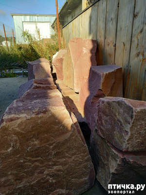 фотография: Шунгит и кварцит фото: Шунгит и кварцит