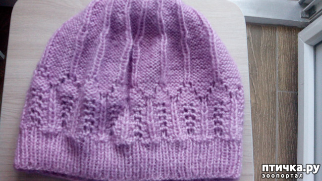 ���� 6: ��� ��� ��!!!