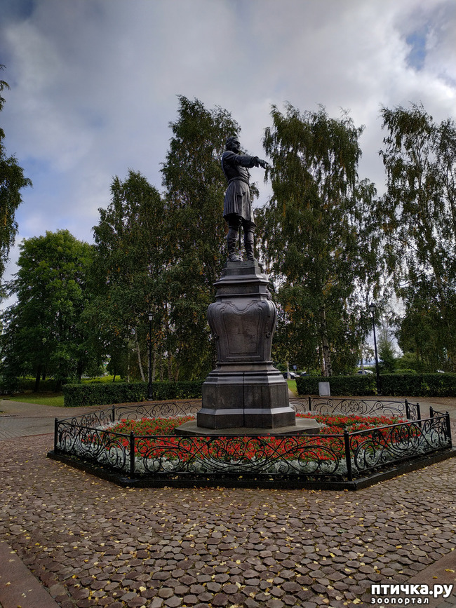 ���� 1: ��������