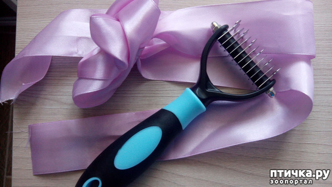 ���� 9: ��� ��� ��!!!