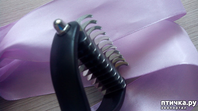 ���� 10: ��� ��� ��!!!