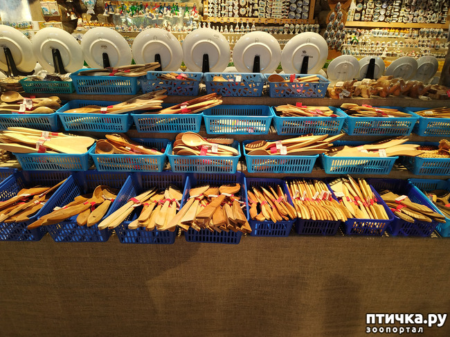 ���� 18: ��������