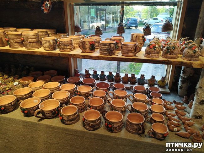 ���� 15: ��������