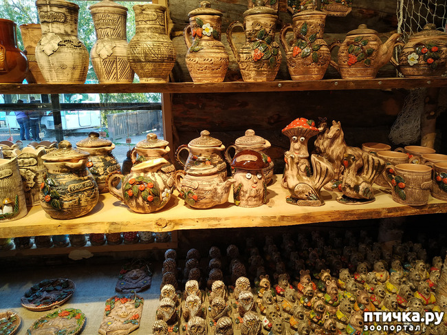 ���� 16: ��������