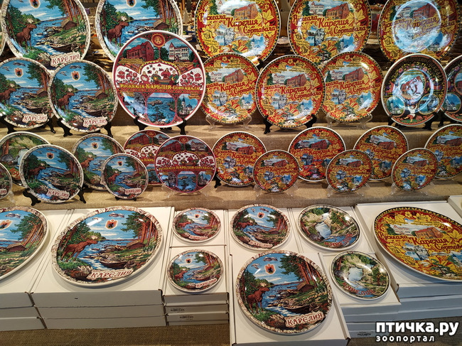 ���� 14: ��������