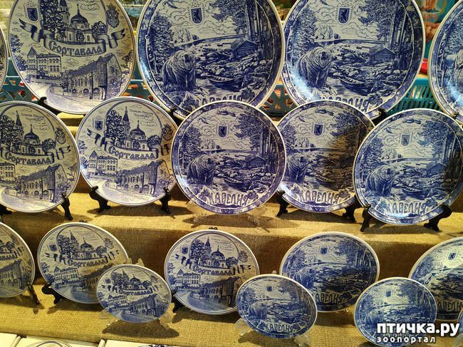 ���� 19: ��������