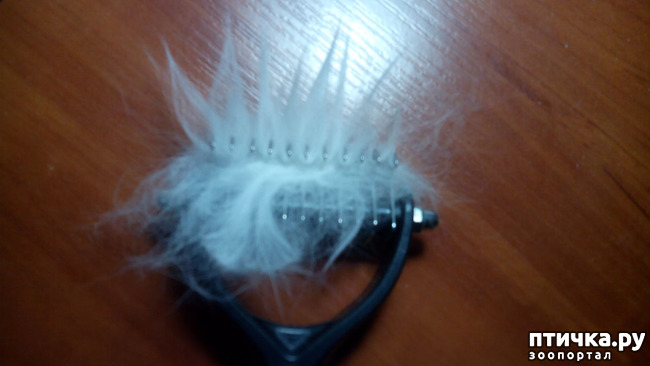 ���� 11: ��� ��� ��!!!