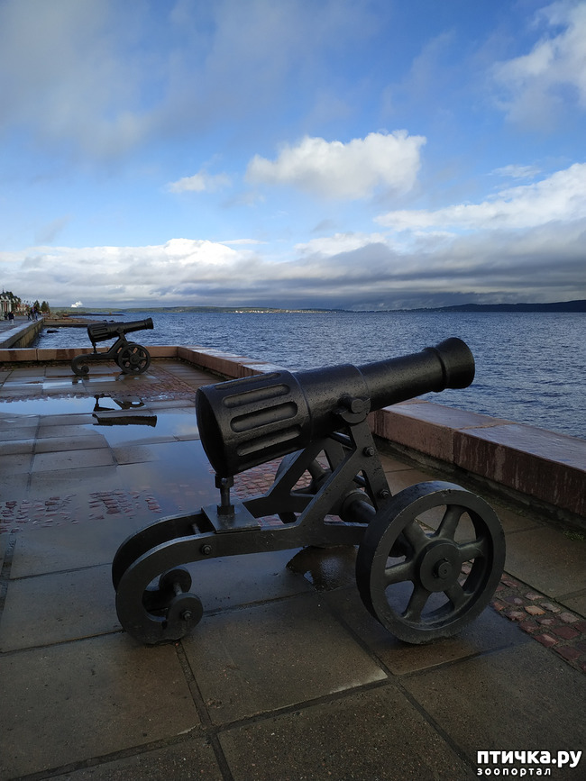 ���� 7: ��������